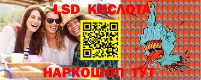 шишки Моздок