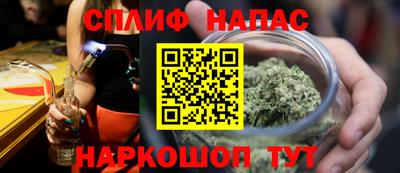шишки Моздок