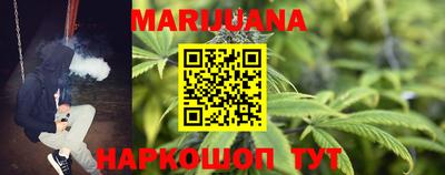 шишки Моздок