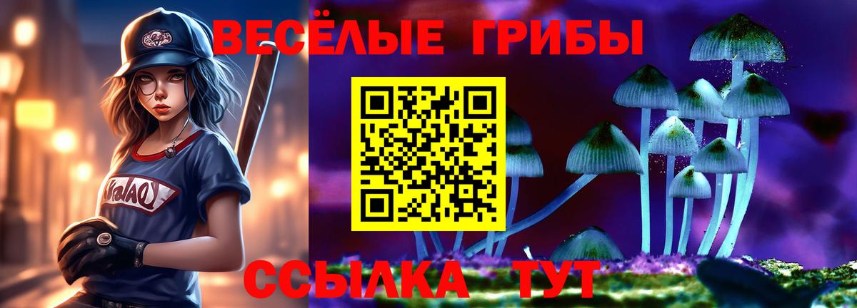 Галлюциногенные грибы GOLDEN TEACHER  купить наркотики сайты  Тавда  Вход с VPN  Псилоцибиновые грибы мухоморы 